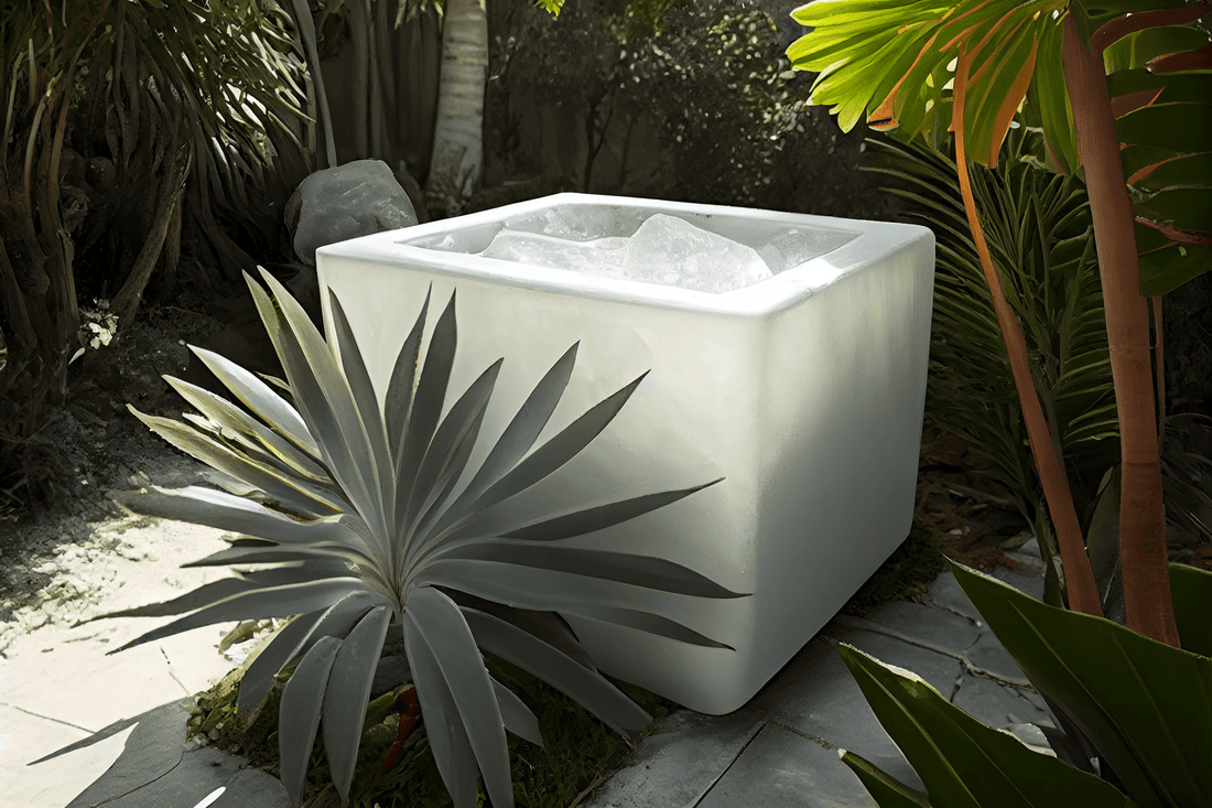 Banho frio para saúde